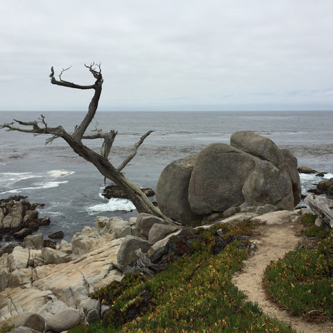 Pebble-Beach,-California